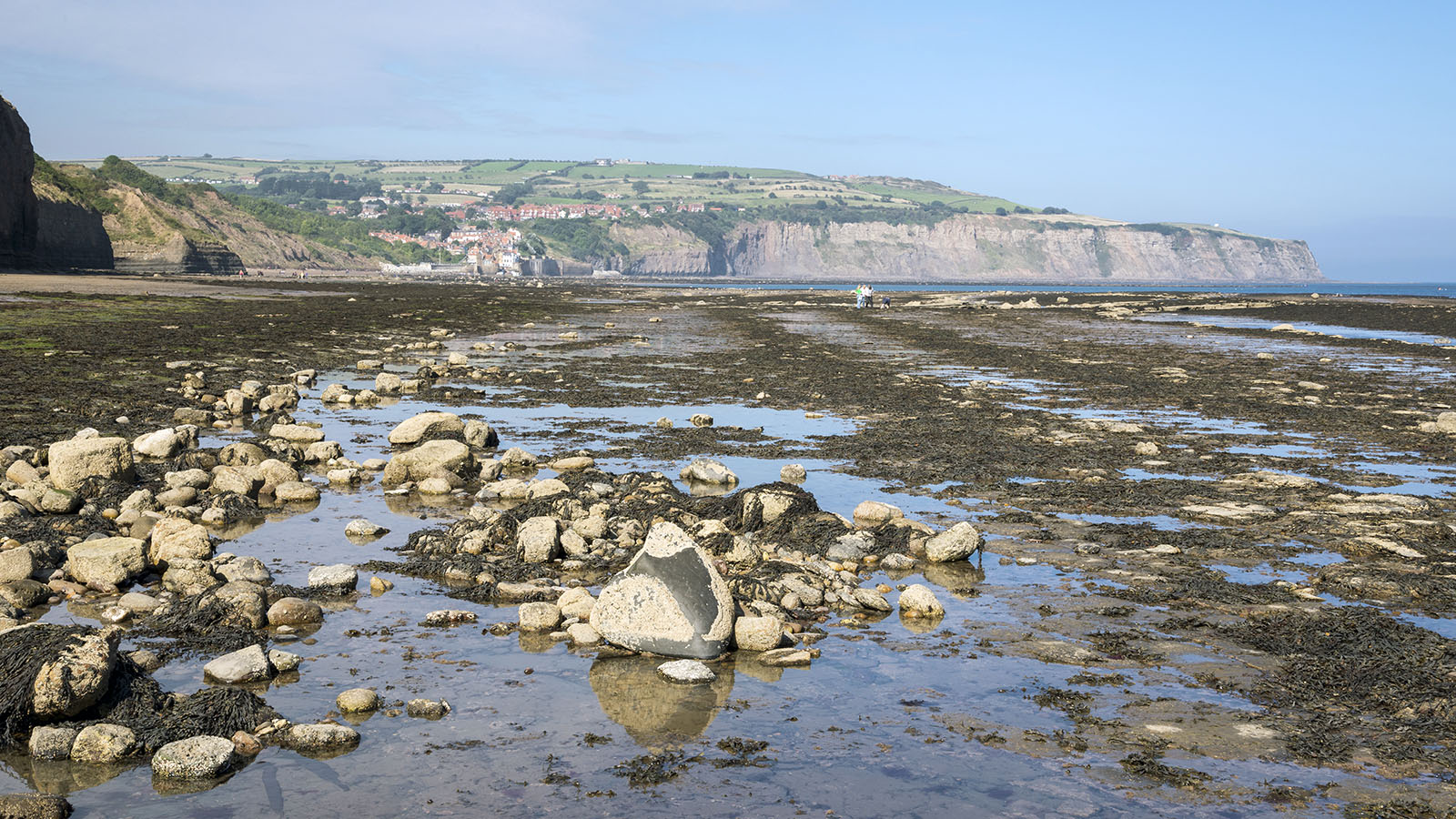 what causes the ocean tides and why are there two high tides every day