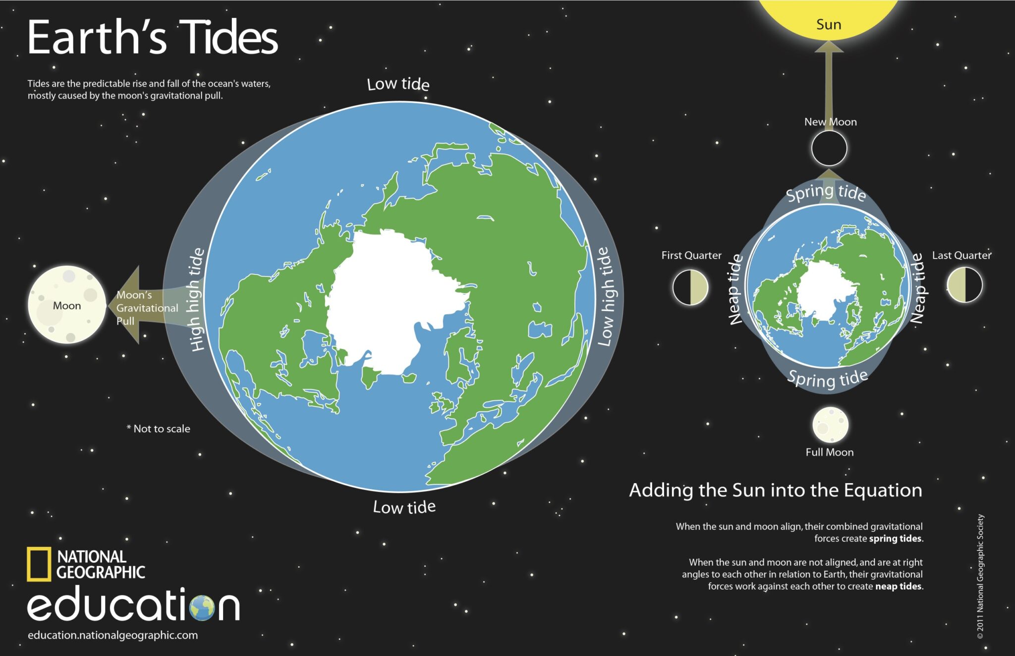 why are the high tides higher when the moon is full